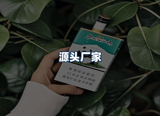 专业团队办公环境